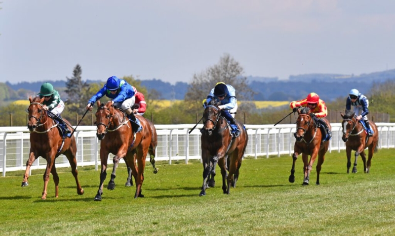 horses running down the track