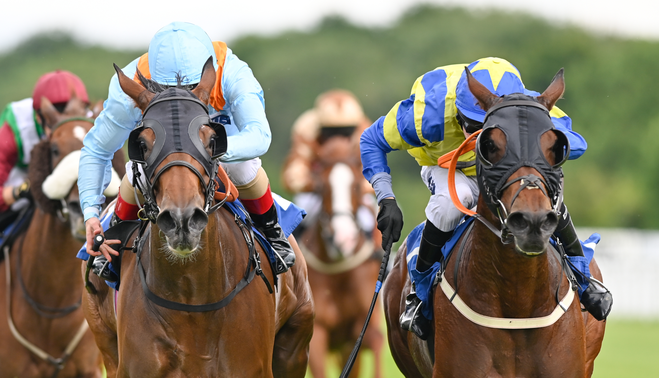 Sunday 5 May Thursday 16 May Saturday 25 May - Eve Tuesday 11 June Sunday 16 June Wednesday 26 June Saturday 13 July - Eve Wednesday 24 July – Eve (this is the BHA fixture) Saturday 27 July - Eve Wednesday 14 August Thursday 15 August Friday 30 August - Eve Thursday 5 September Friday 13 September - Eve Thursday 3 October