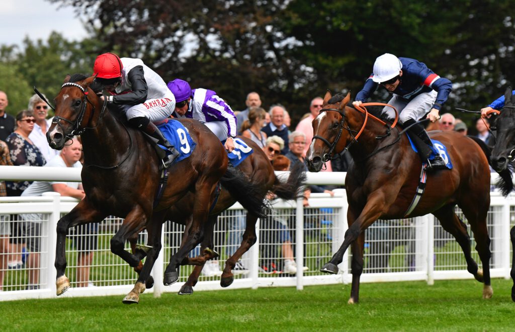 horses racing down the track