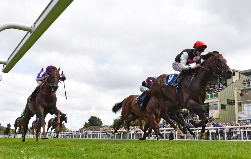 horses racing down the track