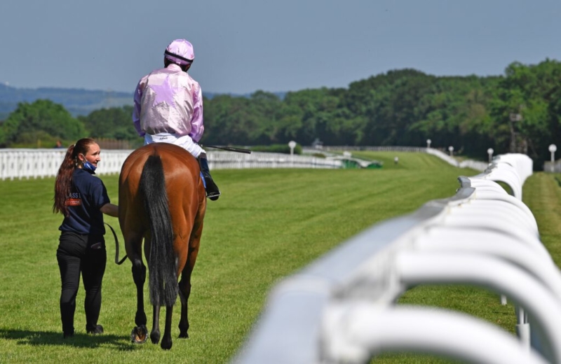 jockey sat on horse