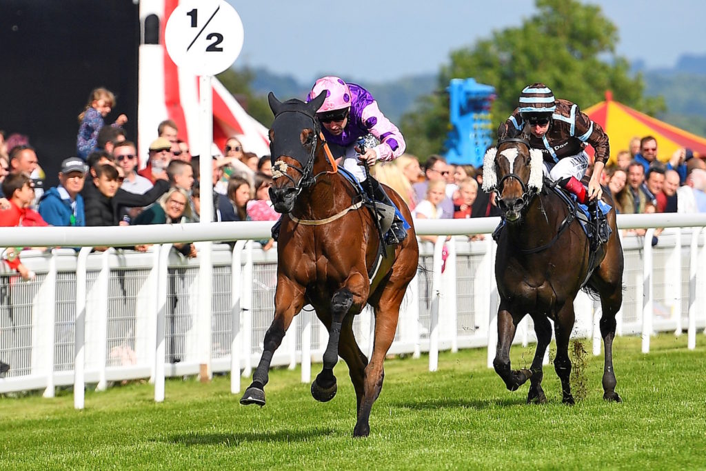 two horses running down the track with jockeys