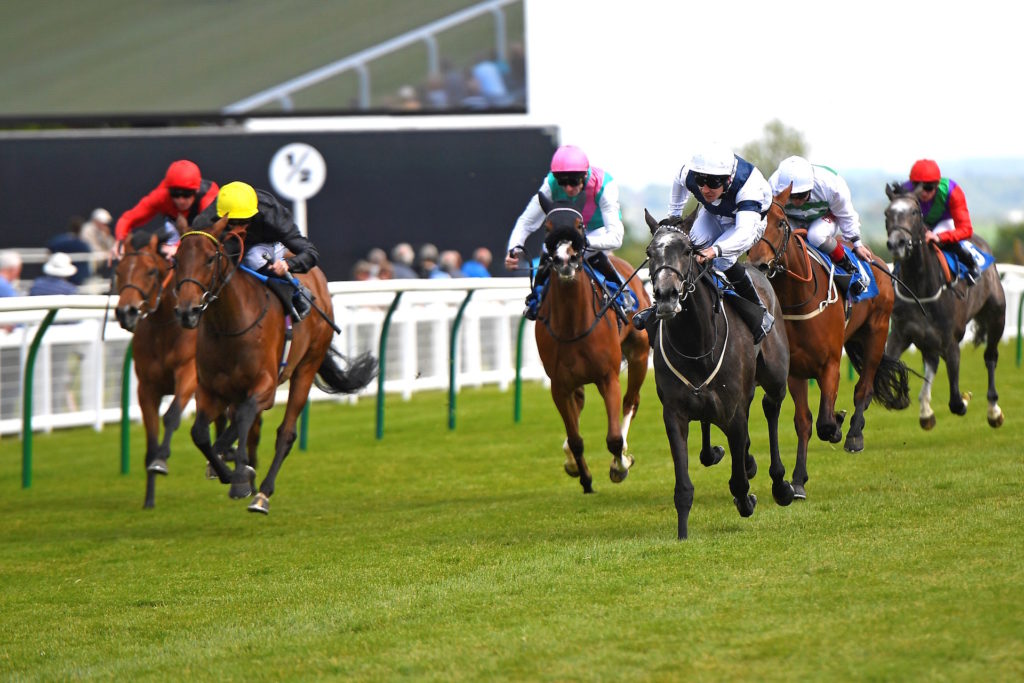 lots of horses running down the track with jockeys