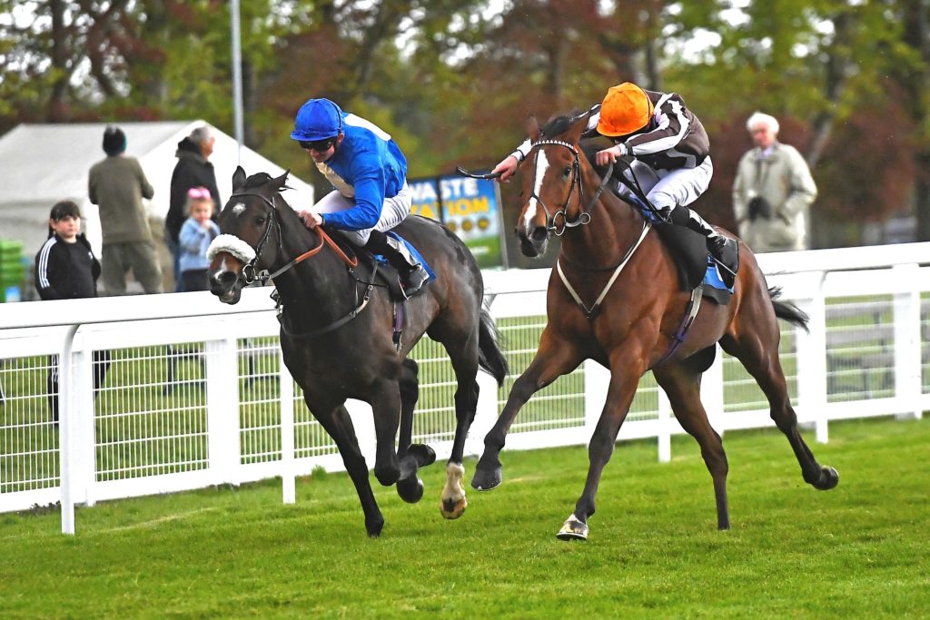 couple of horses running down the track with jockeys