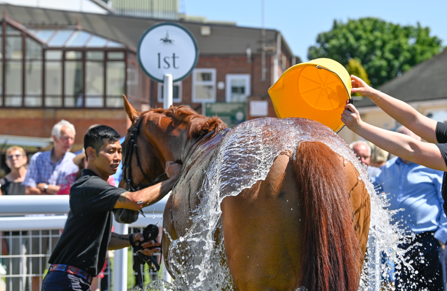 Salisbury Racource Father’s Day Racing | Salisbury Racecourse