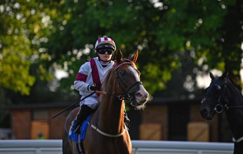 jockey sat on a horse