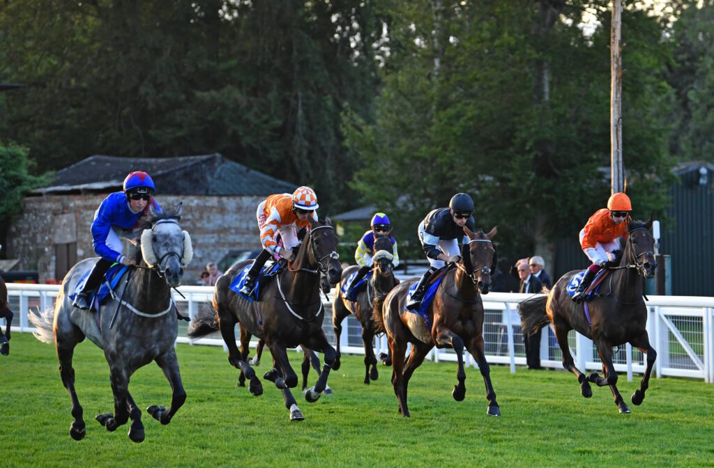 group of horses running down the track