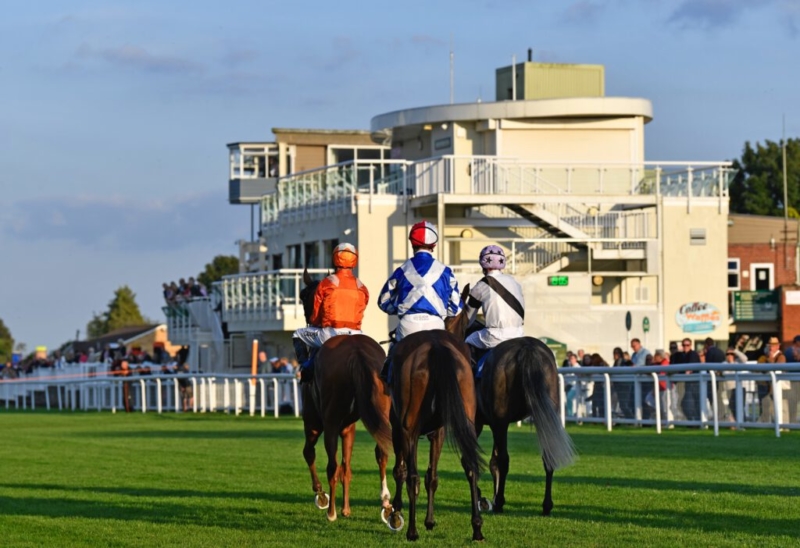 group of horses running down the track