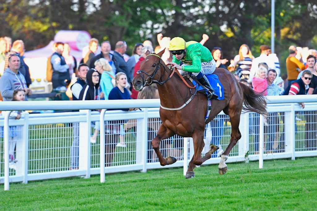 horse running down the track with jockey