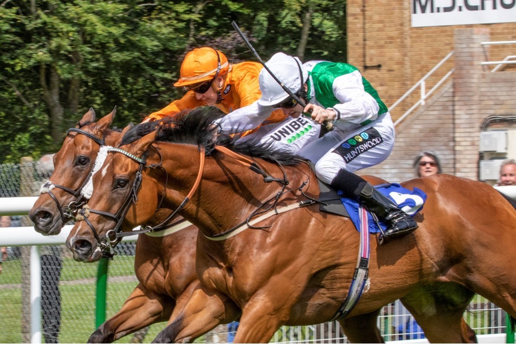 two horses running down the track with jockeys