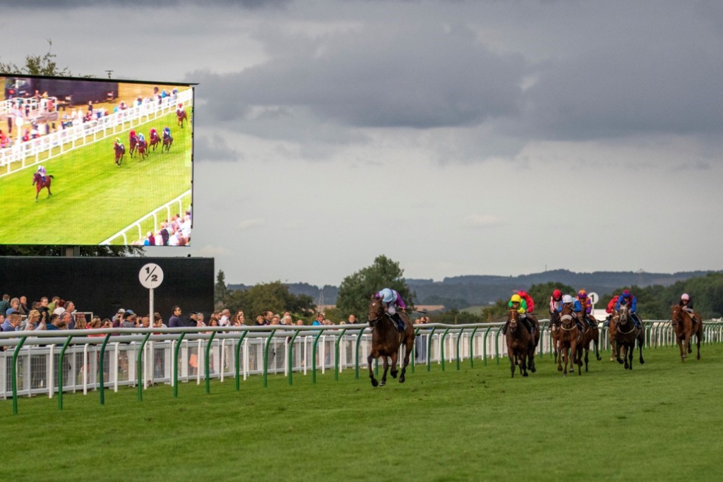 lots of horses running down the track with jockeys