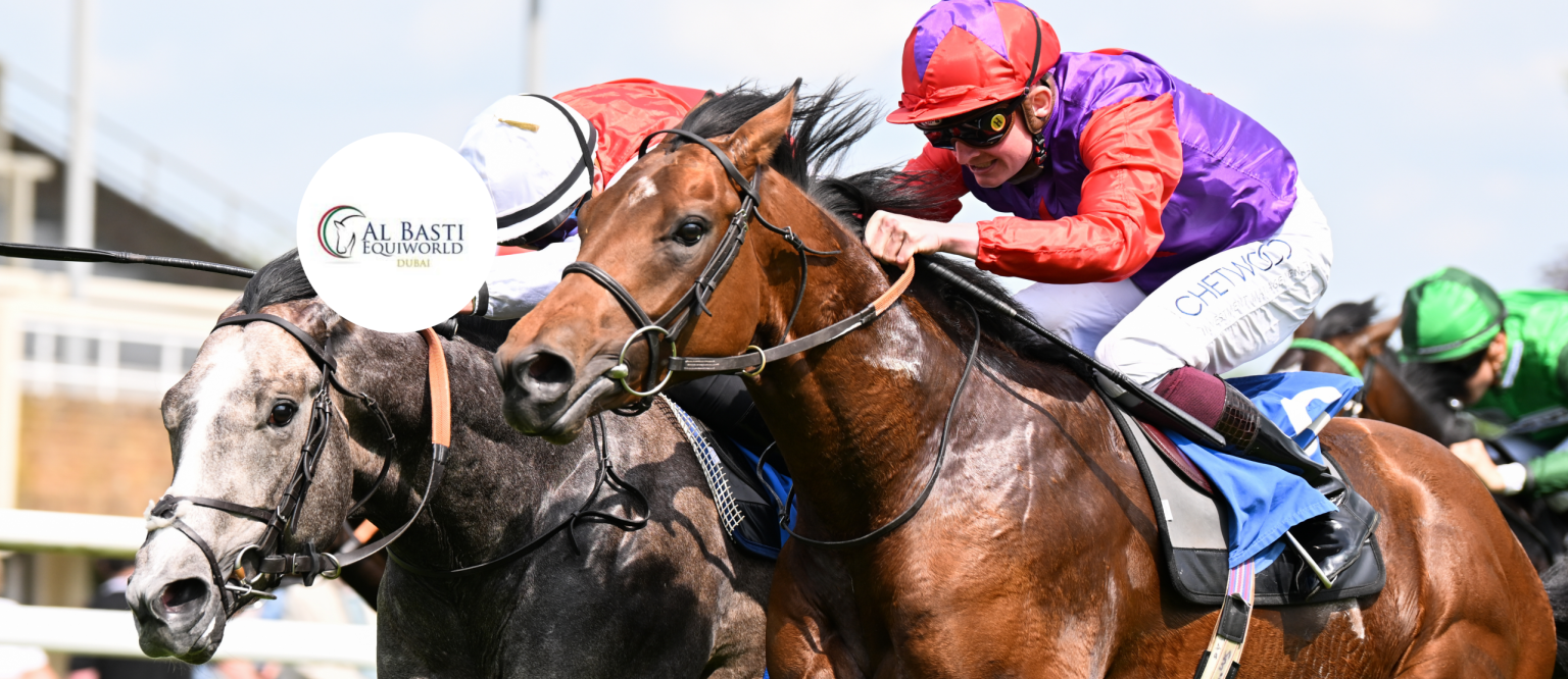 Salisbury Racource Al Basti Equiworld, Dubai ‘City Bowl’ Race Day | Salisbury Racecourse