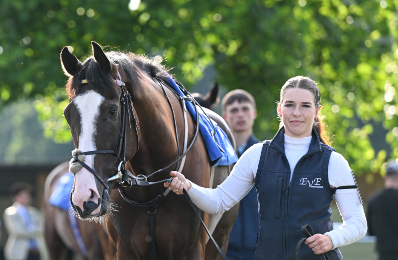 2025 Fixtures Salisbury Racecourse