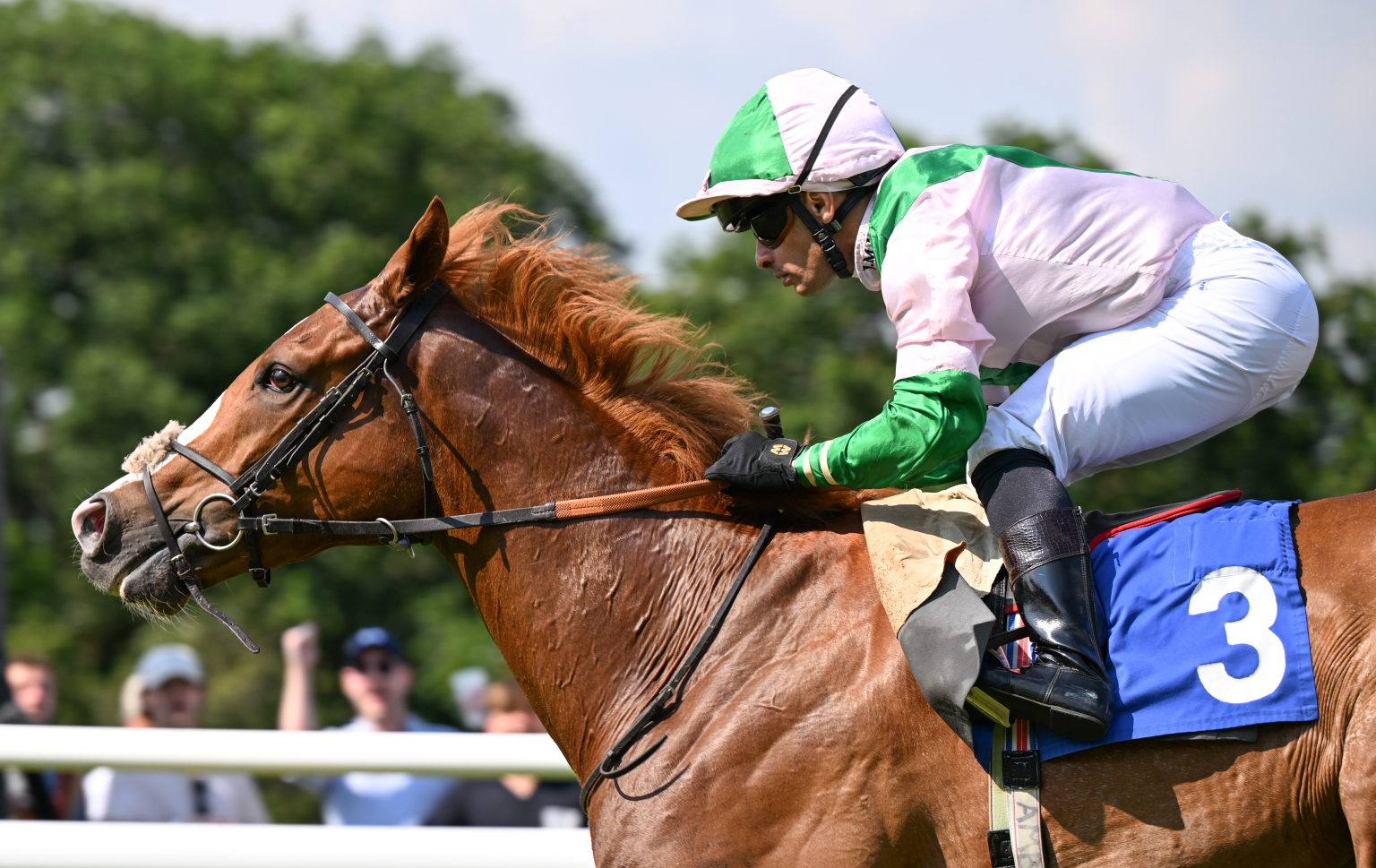 2025 Fixtures Salisbury Racecourse